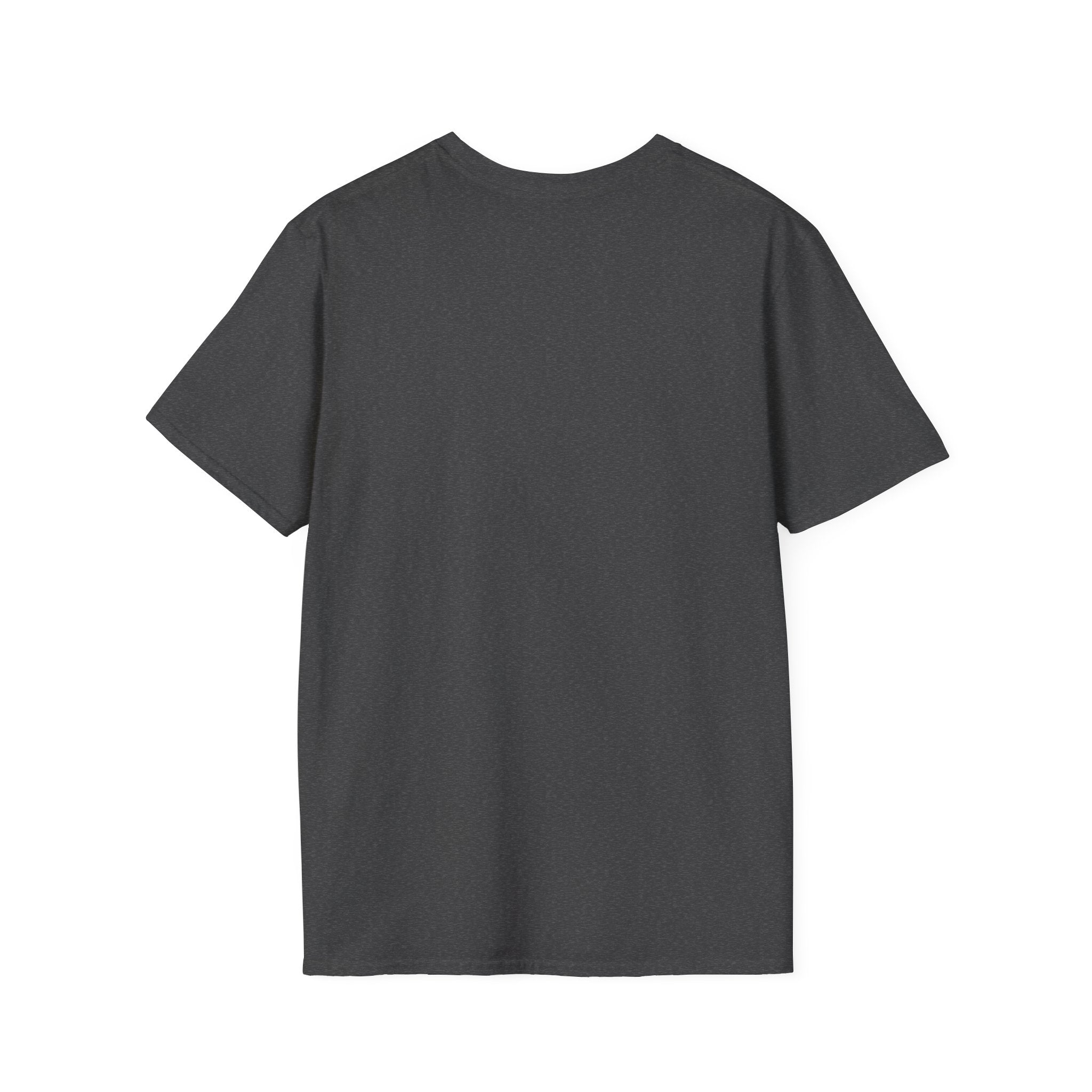 Man of Faith lion graphic T-Shirt